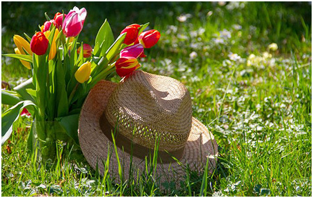 tulips and hat